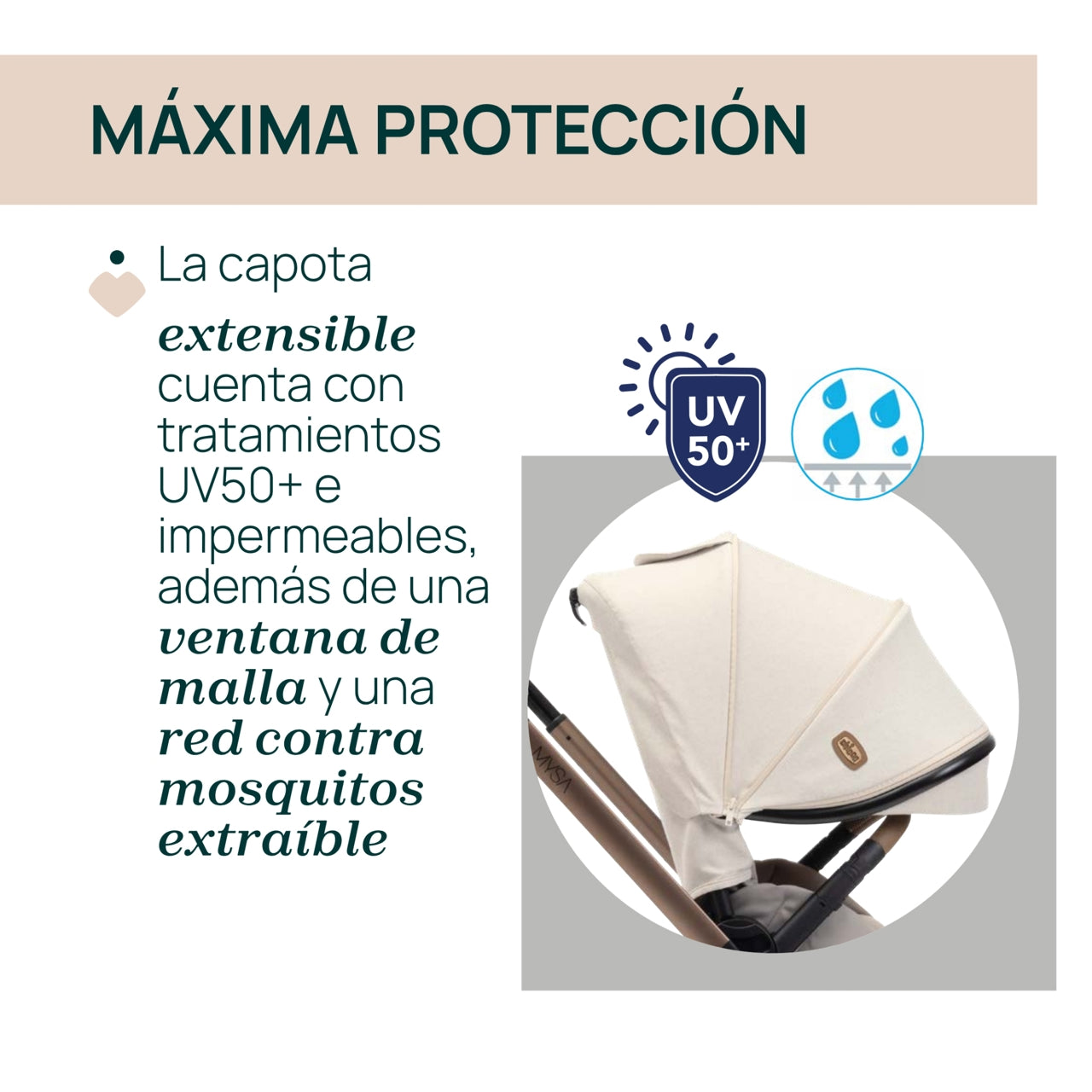 Trío Mysa con Gran Comfort y Kory de Chicco