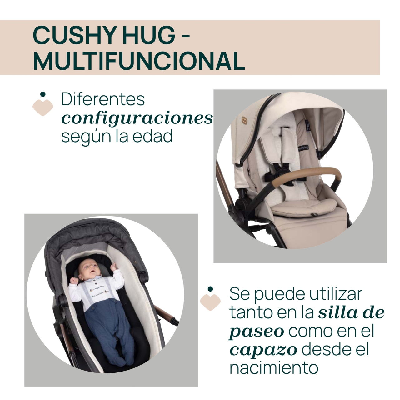 Trío Mysa con Gran Comfort y Kory de Chicco