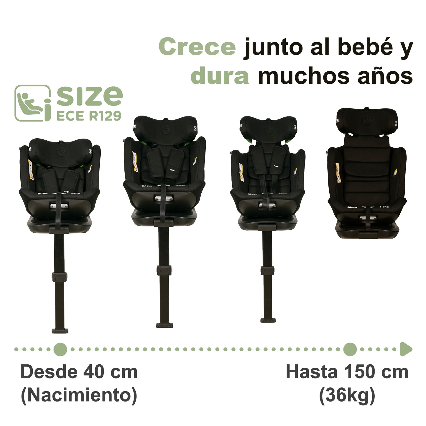 Silla Auto i-size SIENA