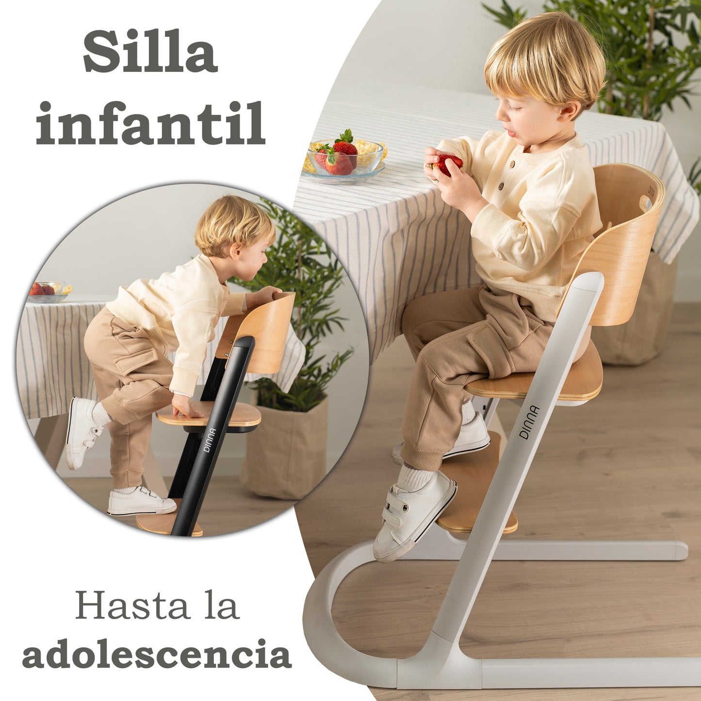 Trona evolutiva de madera 2 en 1 DINNA Silla infantil Evolutiva de Olmitos