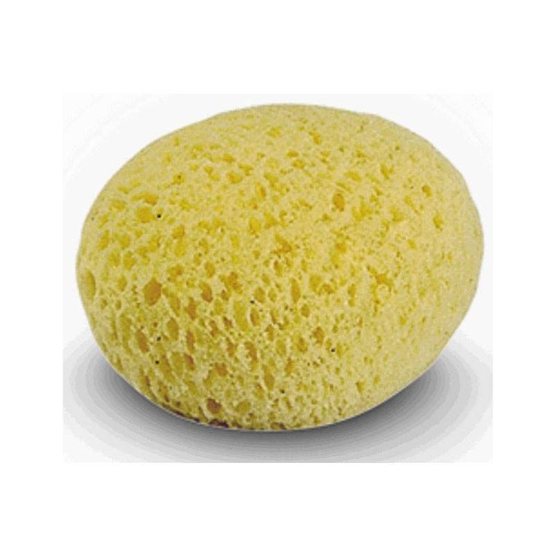 Esponja Hidrofila  2 Unidades de Jane