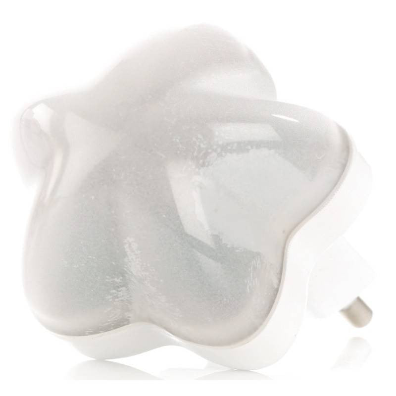 Companhia de Luz Noturna de Jane Light