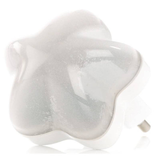 Companhia de Luz Noturna de Jane Light