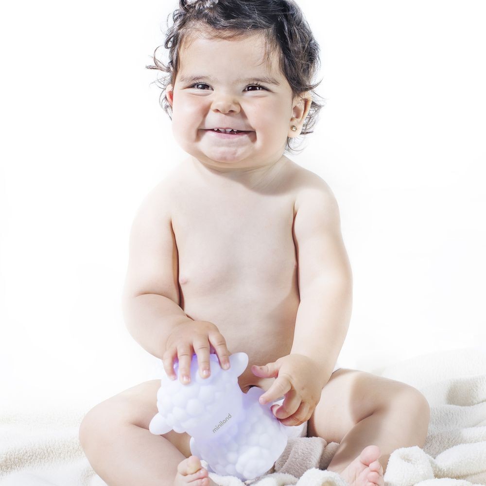 Miniland Sheep Company Luz