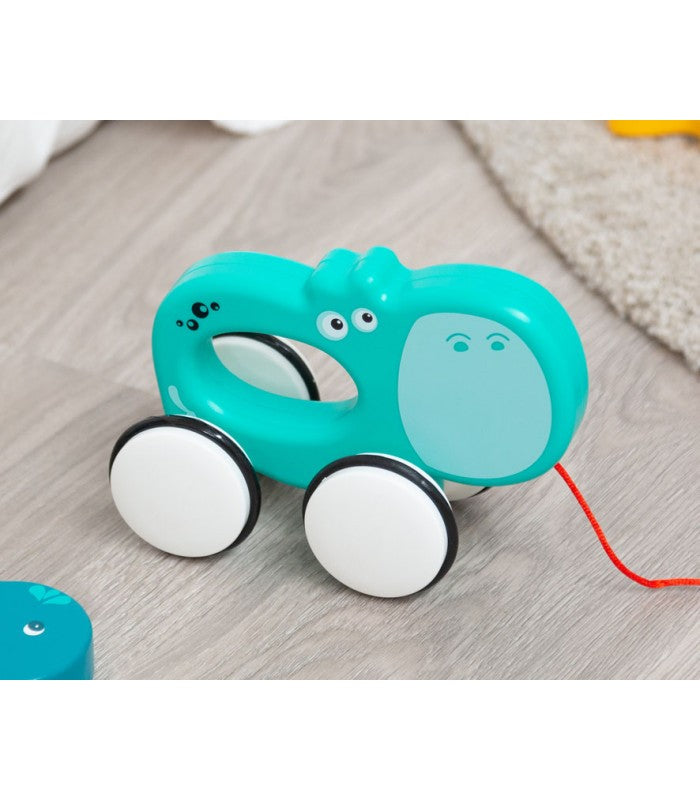 Hipopótamo Arrastre de Kiokids