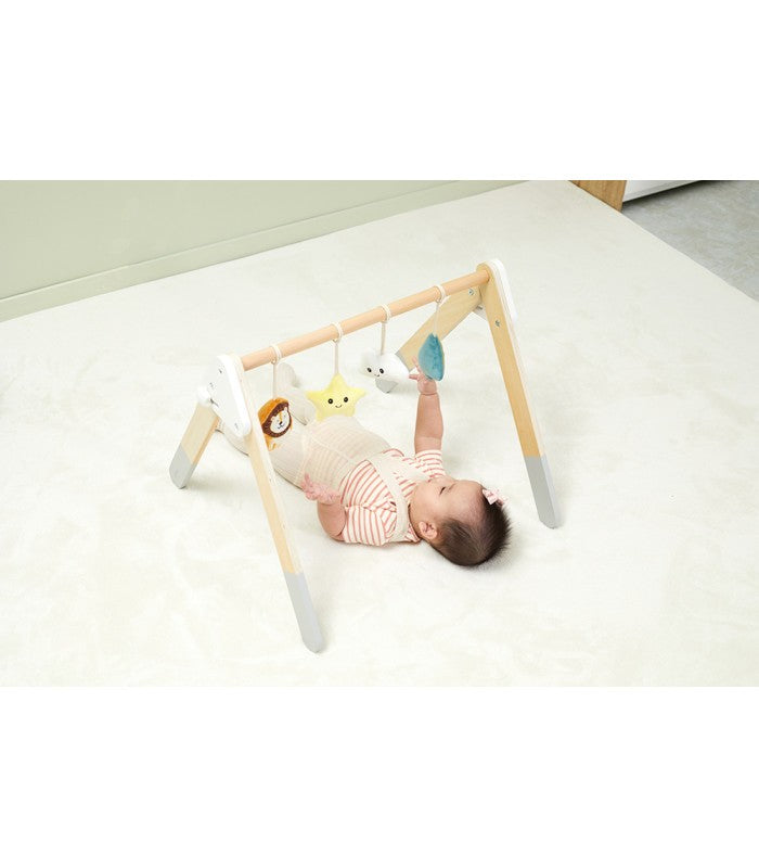 Gimnasio de Actividades Madera PolarB