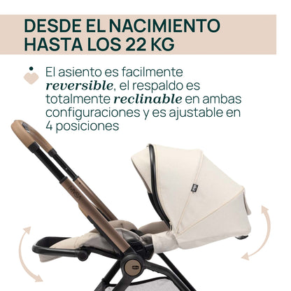 Trío Mysa con Gran Comfort y Kory de Chicco