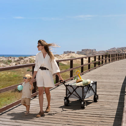 Carrito de transporte plegable ROLLSTER