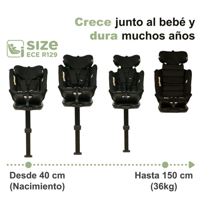 Silla Auto i-size SIENA