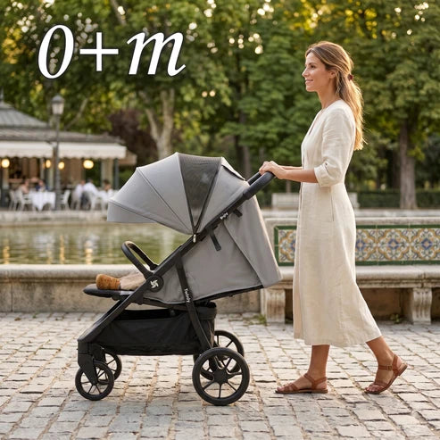 Silla de Paseo BIGLY - Ligera, Ajustable, hasta 22 kg de Twinly