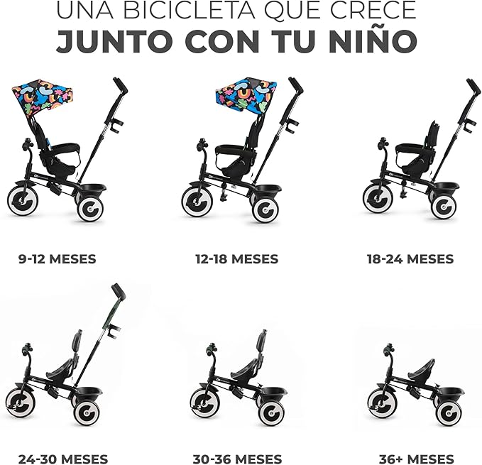 Triciclo Aston de Kinderkraft