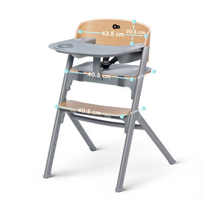 Trona para bebés + Hamaca  Livy Calmee de Kinderkraft