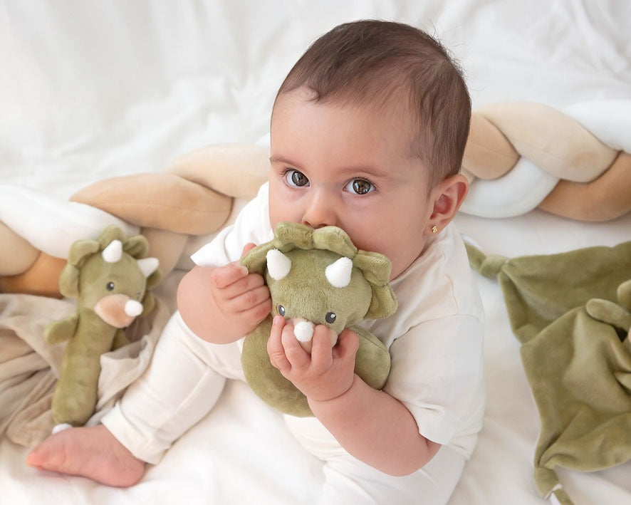 Sonajero Dinosaurio Kiokids