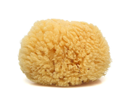 Esponja natural de Kiokids