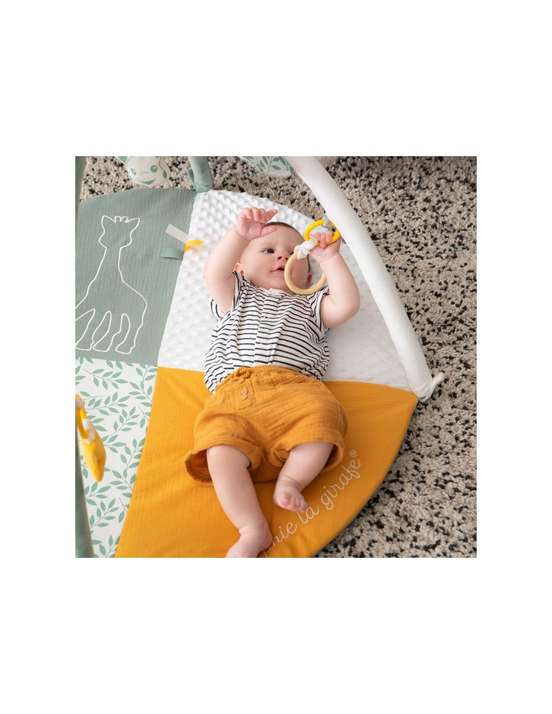 Gimnasio Reversible Sophie la girafe