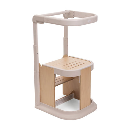 Torre de aprendizaje evolutiva Meraviglia