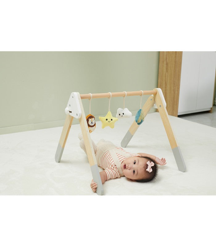 Gimnasio de Actividades Madera PolarB